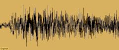 Original Waveform